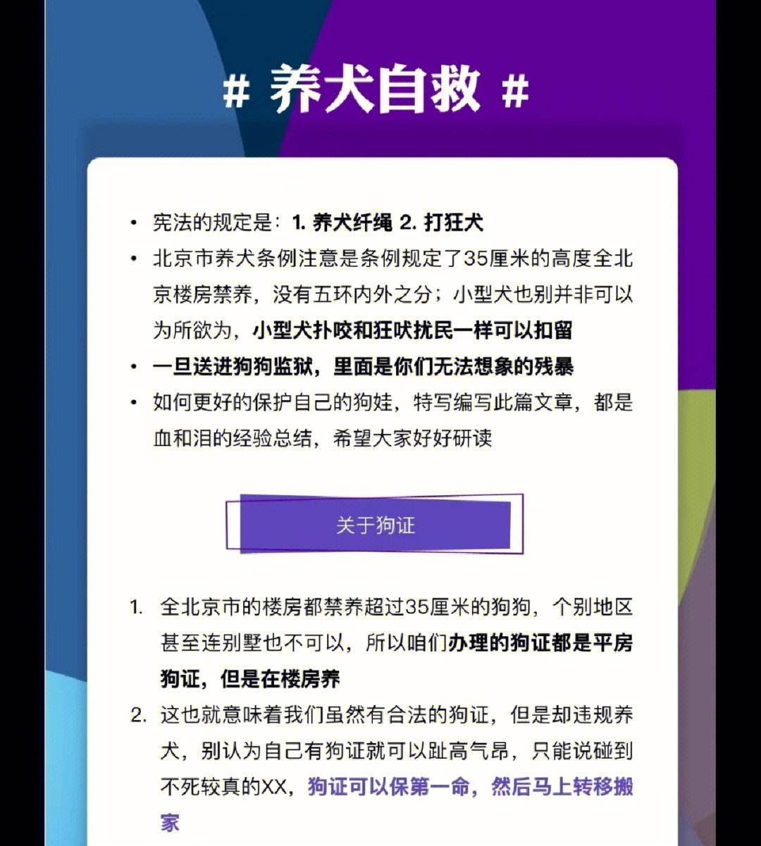 宠物等级超限相关测试